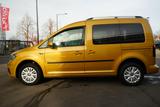Volkswagen Caddy 2.0 TDI Trendline DSG Xenon Navi ACC AHK - Volkswagen Caddy mit Anhängerkupplung