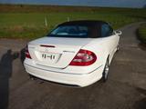 Mercedes-Benz CLK 55 AMG Cabrio Sammlerzustand ERSTLACK 65tkm - Mercedes-Benz AMG e55