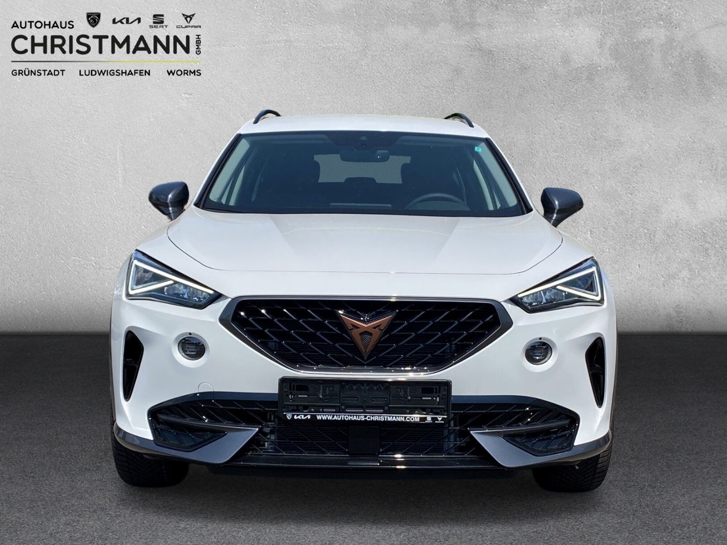 Fahrzeugabbildung CUPRA Formentor Basis 1.5 TSI EU6d digitales Cockpit L