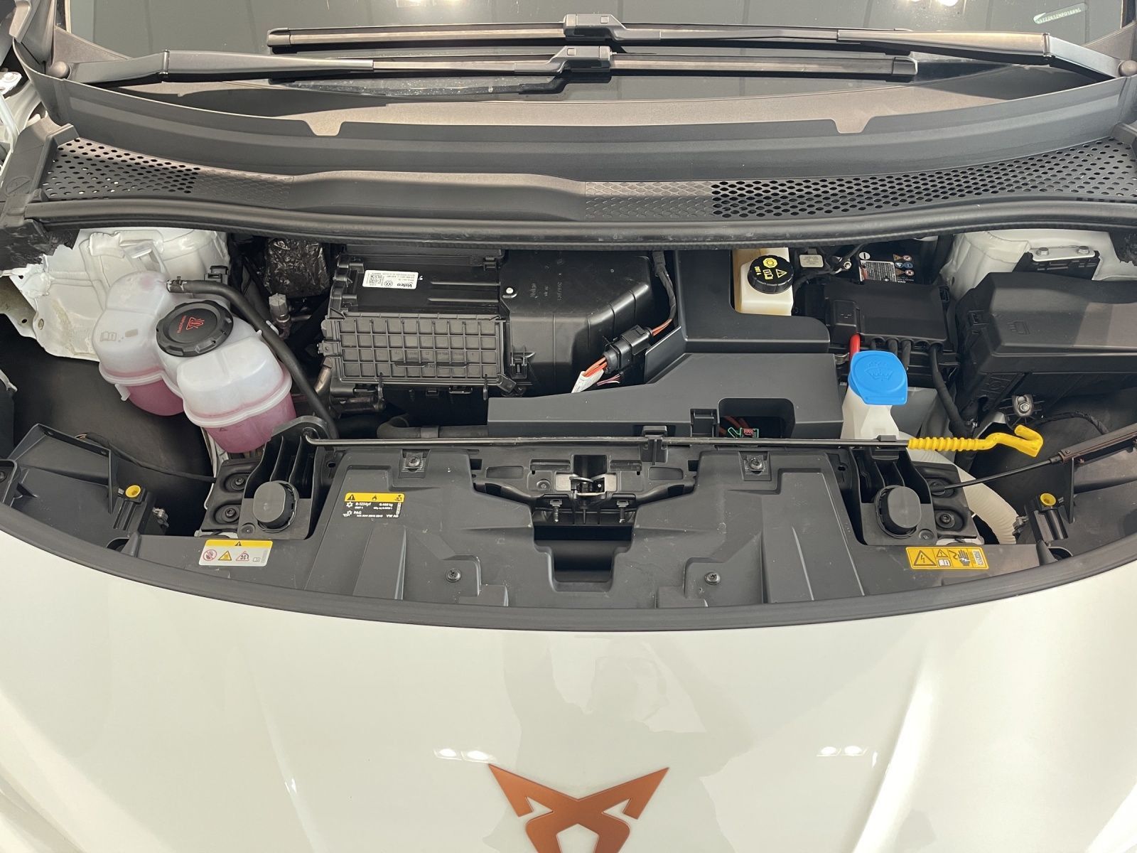 Cupra Born - Bild 22