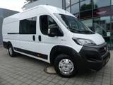Fiat Ducato Maxi Kasten 35 140 L5H2 6-SITZER/NAVI/KAM - Fiat Ducato: 2.5