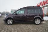 Volkswagen Caddy 2.0 TDI Comfortline Bi-Xenon Navi ACC PDC - VW Caddy Gebrauchtwagen in Erfurt
