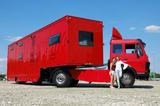 Andere Wohnauflieger/ Tinyhouse