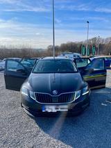Skoda OCTAVIA III COMBI 1.6 TDI zu verkaufen - Skoda Octavia: Ii Combi