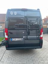 Forster 636EB Kastenwagen Automatik 160PS Einzelbetten  - Kastenwagen Einzelbetten