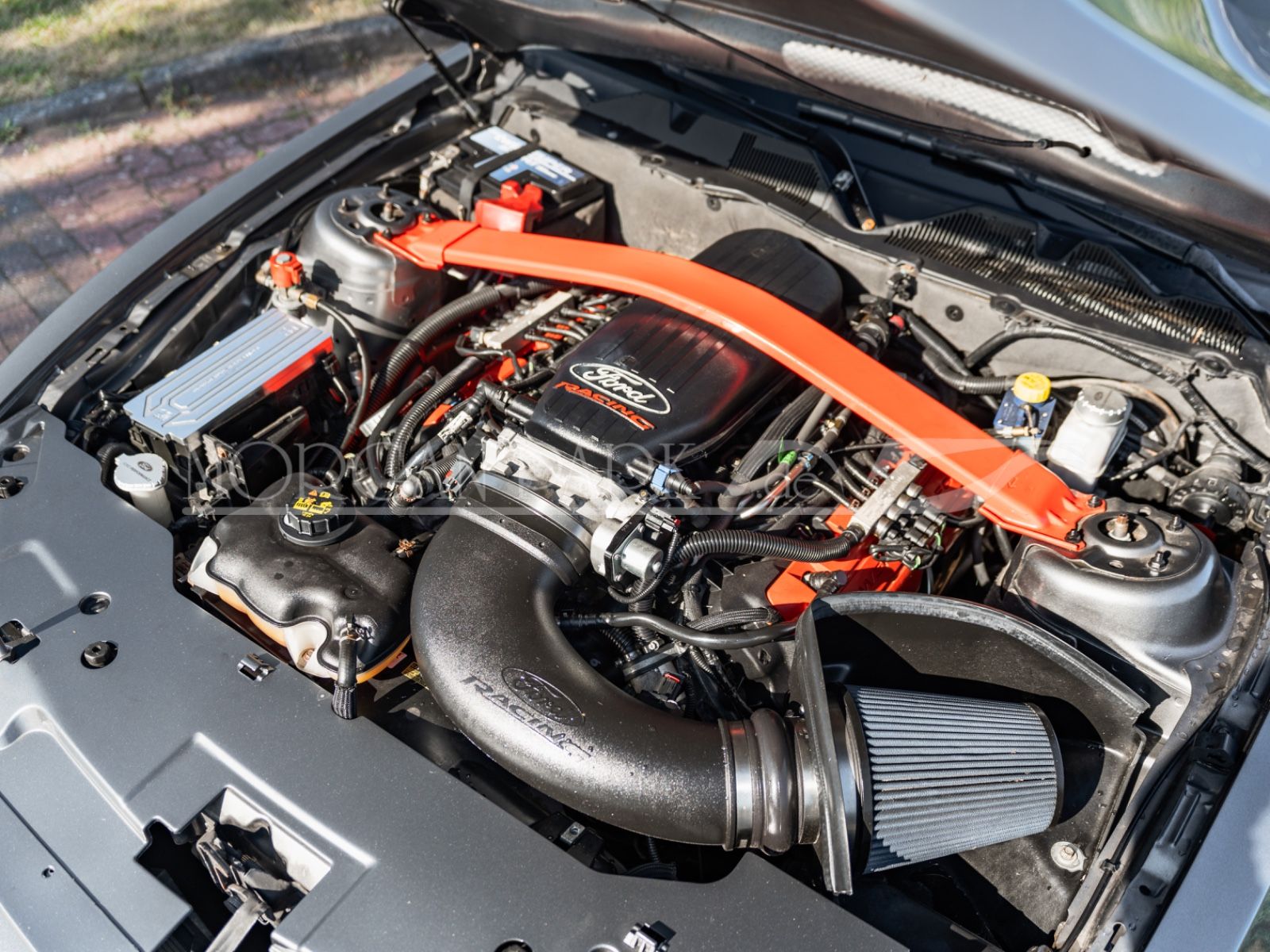 Fahrzeugabbildung Ford Mustang GT *Neidfaktor+480PS*