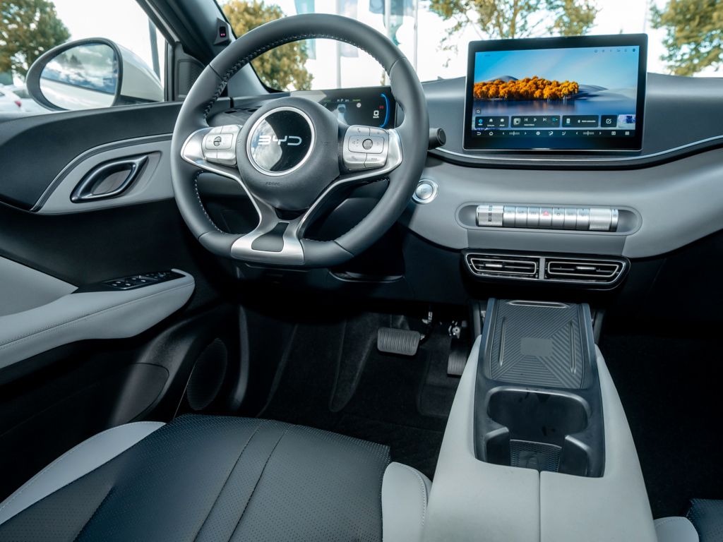 BYD DOLPHIN