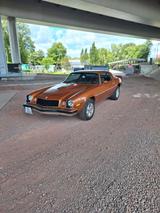 Chevrolet Camaro - Chevrolet Camaro Gebrauchtwagen in Hamburg