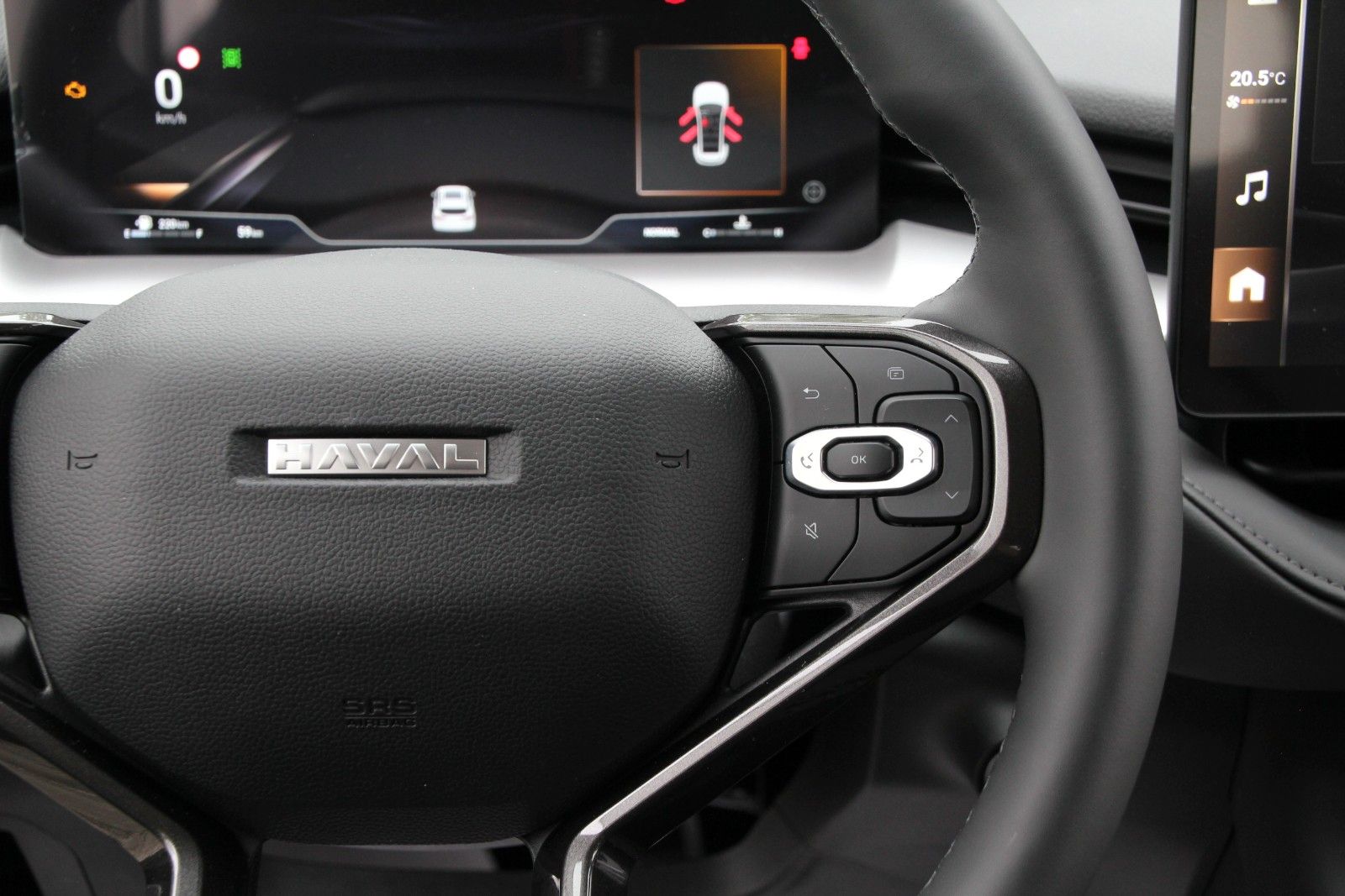 Fahrzeugabbildung GWM HAVAL H6 Premium