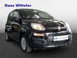 Fiat Panda Easy 1.2L 1. Hand / Klimaanlage/Bluetooth - Fiat Panda: Schwarz
