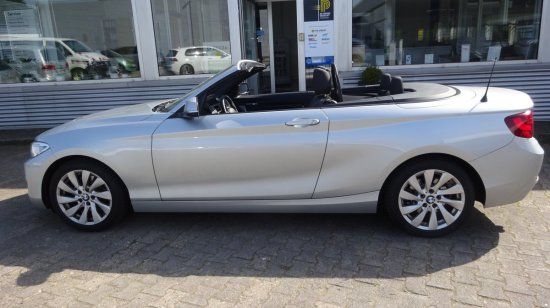 BMW 220 i Advantage Cabrio Steptronic Navi, Ganzjahr