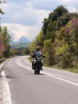 Triumph Tiger 900 Rally Aragon - Offers