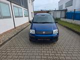 Fiat Panda 1.25 Euro 4 - Fiat Panda bis 5.000 Euro