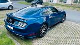 Ford Mustang 5.0 Ti-VCT V8 343kW MACH 1 Optik - gebrauchte Ford Mustang aus dem Jahr 2023