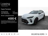 Cupra Terramar VZ 2.0 TSI 4DRIVE*20Z*PANO*RFK*MATRIX*A - : Allradantrieb, Geländewagen