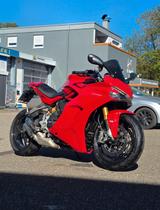 Ducati Supersport 939/950 S DESMO SERVICE - Akrapovic - DUCATI SUPERSPORT 950