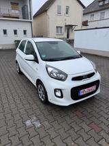 Kia Picanto Sensation - Kia Picanto in Mannheim