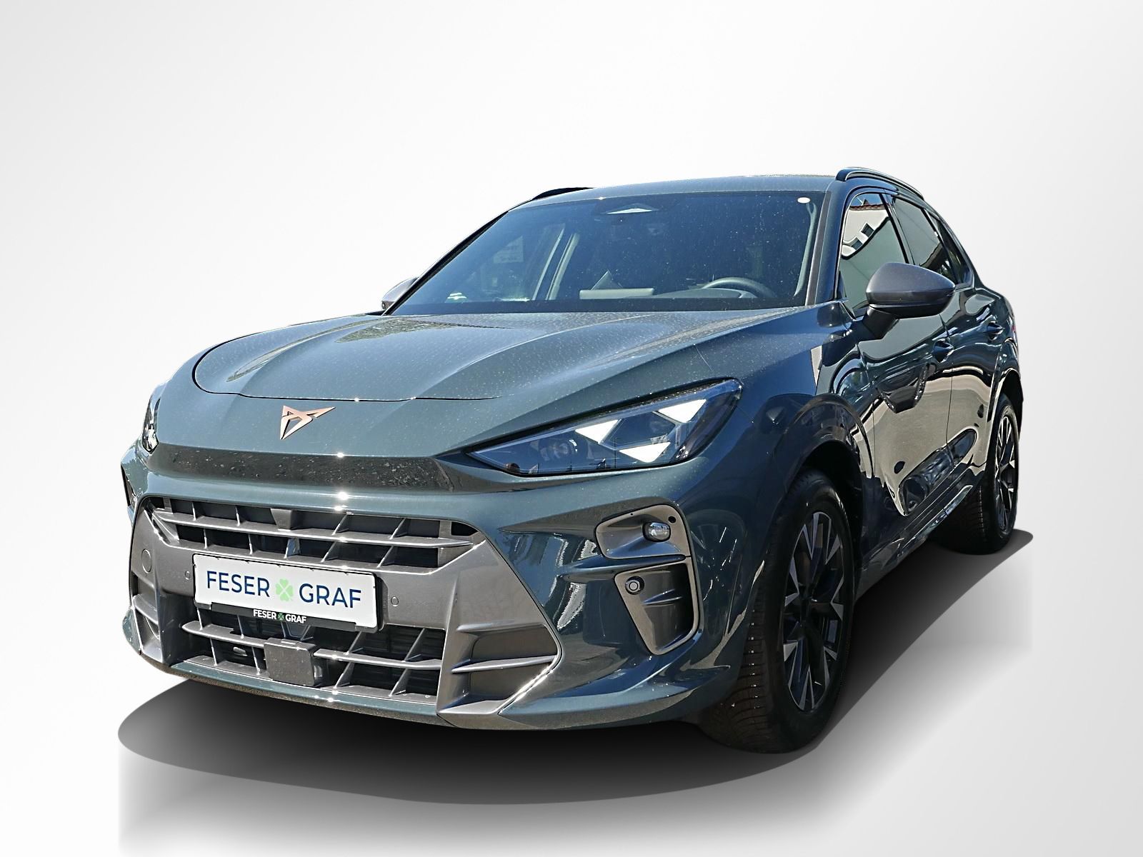 Cupra Terramar - Bild 15
