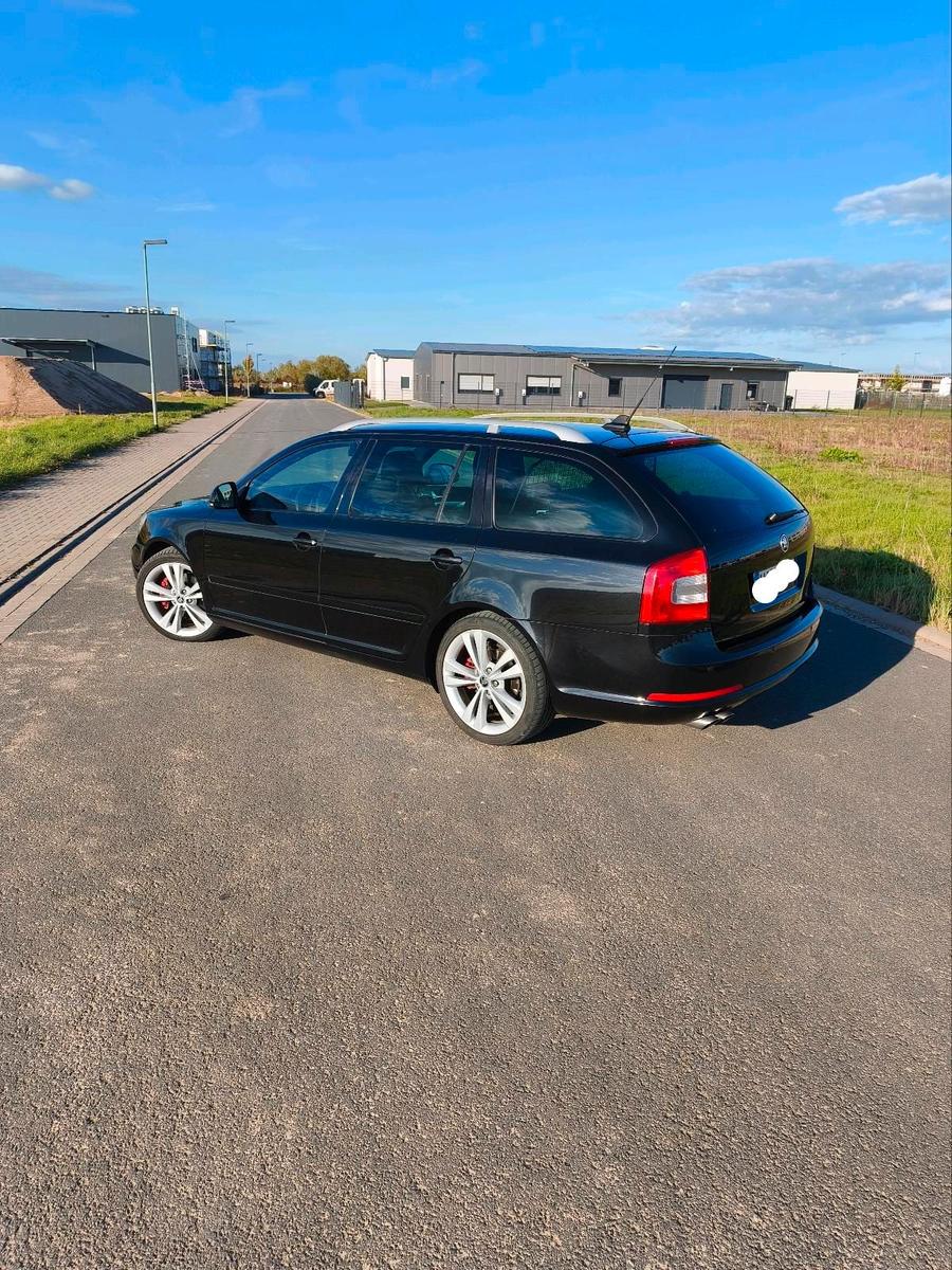 Skoda Octavia 2010 — вигляд ззаду