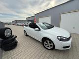 Volkswagen Golf VI Cabriolet*8Fach*MFL* - Volkswagen Golf: Cabrio, V