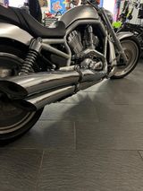 Harley-Davidson V-Rod - 2002 V ROD
