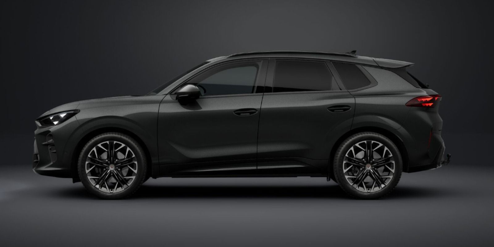 Cupra Terramar - Bild 3