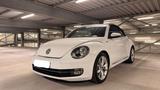 Volkswagen Beetle 1.2 TSI BMT ALLSTAR Cabriolet ALLSTAR - Volkswagen Beetle: Allstar