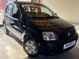 Fiat Panda 1.1 8V Active 1-Hand 58.522Km! Top Zustand - Fiat Panda: Km H