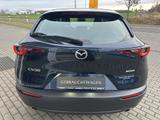 Mazda CX-30 Selection 360° LogIn BOSE MRCC Klimaaut Le - gebrauchte Mazda CX-30 aus dem Jahr 2021