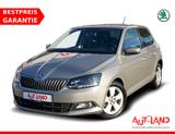 Skoda Fabia 1.0 Ambition PDC Bluetooth Klima Limiter - gebrauchte Skoda Fabia aus dem Jahr 2017