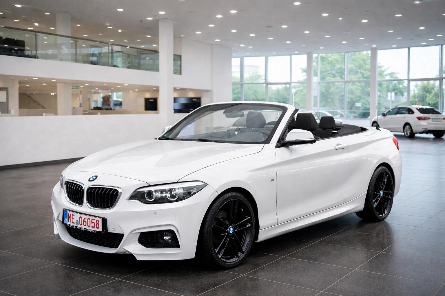 BMW 218 d M Sport *Navi*Leder*H&K*LED*AHK*LM18*