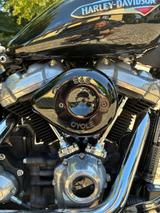 Harley-Davidson FLSL Softail slim - Motorräder in Solingen