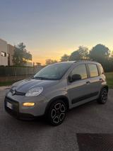Fiat Panda 1.0 FireFly S&S Hybrid Sport - Fiat Panda Sport mit Hybrid-Antrieb (Benzin/Elektro)
