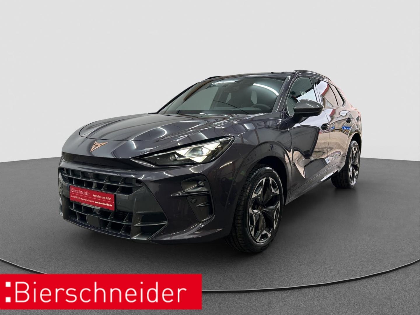 Cupra Terramar 2.0 TSI DSG 4Drive VZ