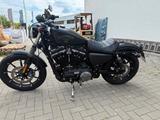 Harley-Davidson Sportster Iron 883 - Offers matching your search criteria