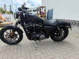 Harley-Davidson Sportster Iron 883 - HARLEY-DAVIDSON CHOPPER SPORTSTER 883 IRON