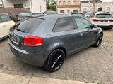 Audi A3 1.6 Benzin + LPG Gasanlage - Audi mit LPG-Antrieb