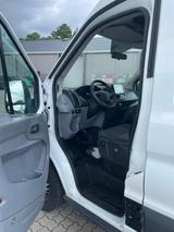 Ford 4 x Transit 350 2.0 Eco Blue  - Ford Transit mit Diesel-Antrieb: 2.4