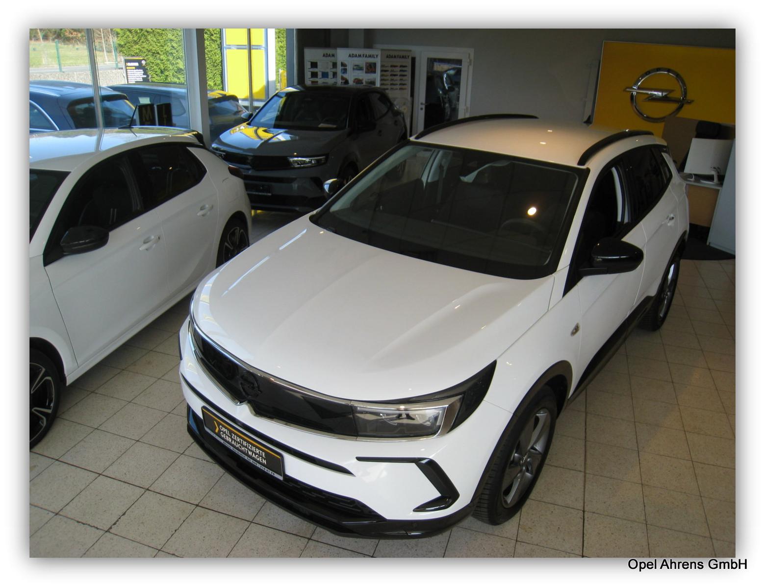 Opel Grandland (X) 360 ° Kamera, Matrix-Licht, Navi,
