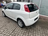 Fiat Grande Punto 1.2 8V Active - Fiat Grande Punto Gebrauchtwagen