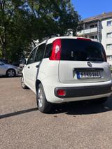 Fiat New Panda 1.2 8V LOUNGE LOUNGE - Fiat New Panda aus 2017