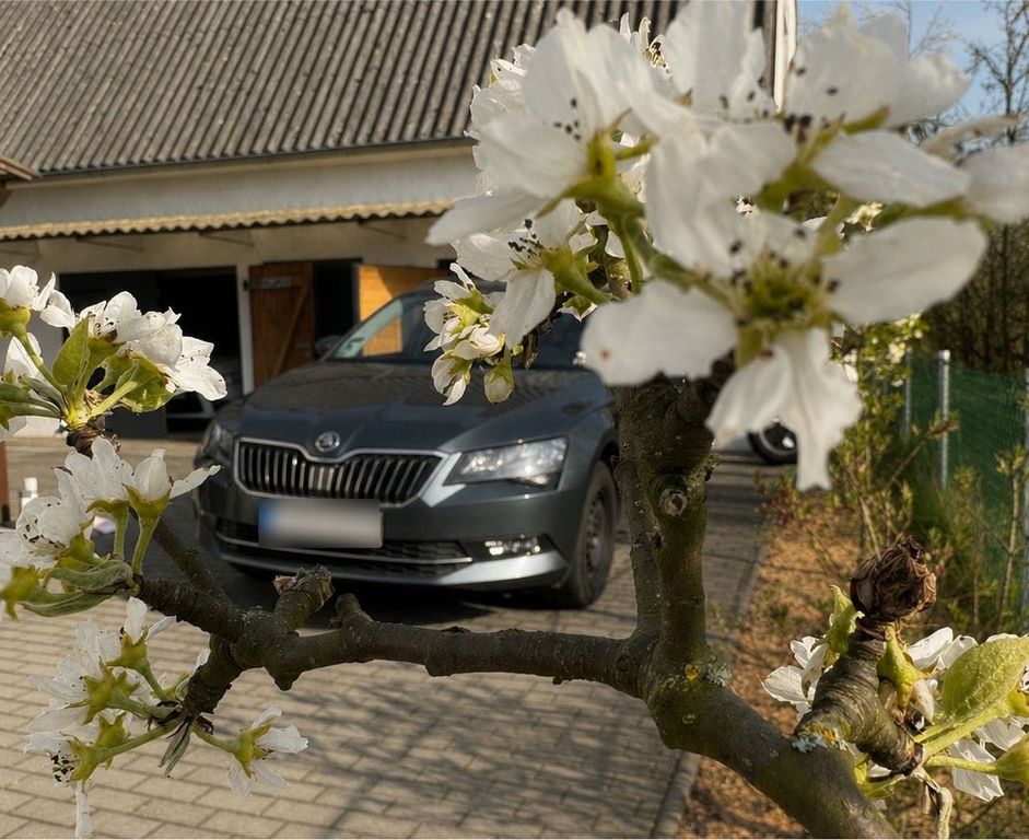 Image of Skoda Superb