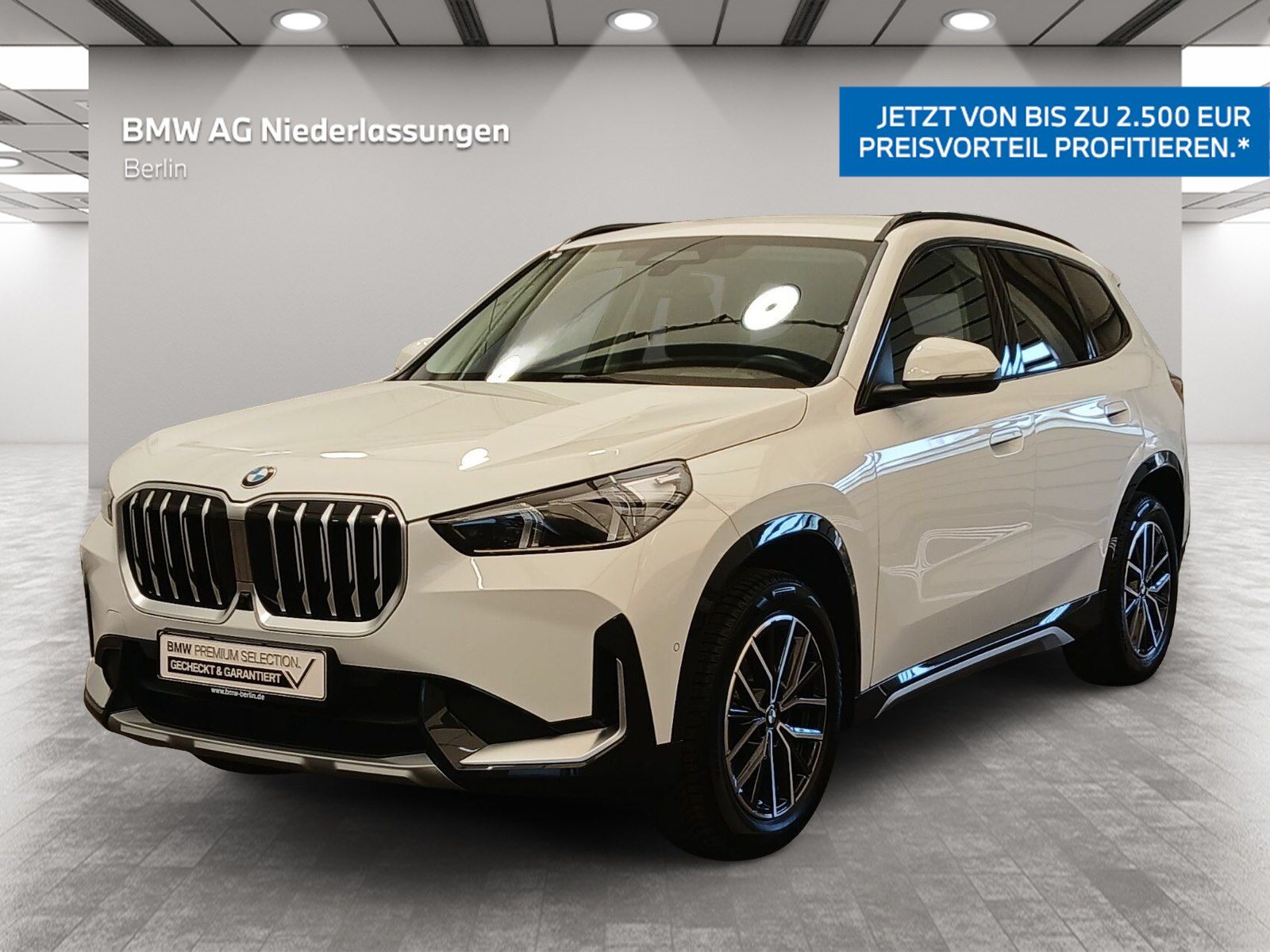 BMW X1 sDrive20i xLine LiCoPr DAPr PAPr Head-Up AHK