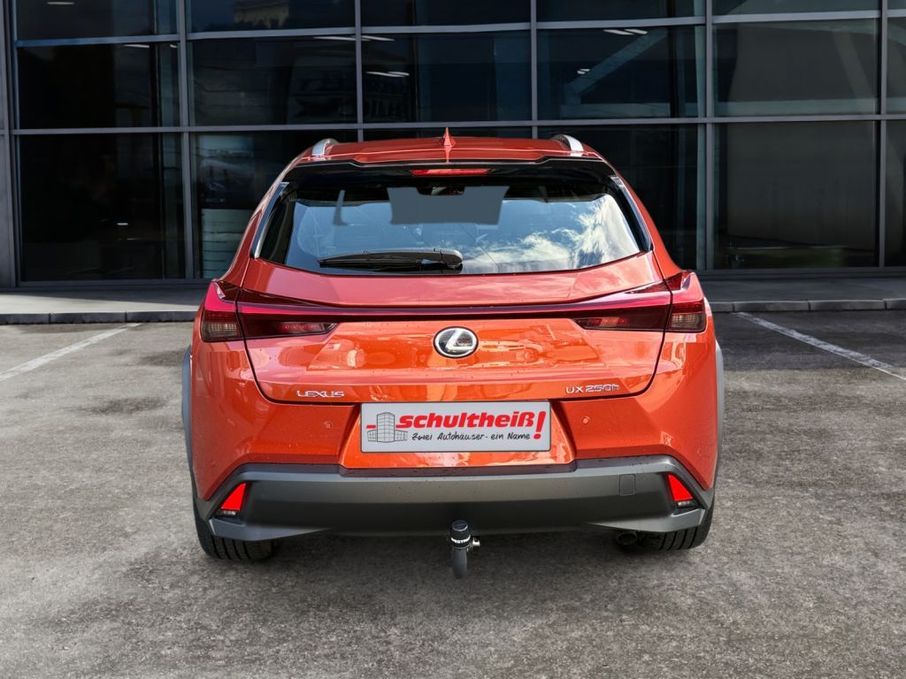 Fahrzeugabbildung Lexus UX 250h  (E-FOUR) Luxury Line