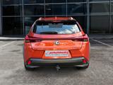 Lexus UX 250h  (E-FOUR) Luxury Line - Lexus UX 250h Gebrauchtwagen