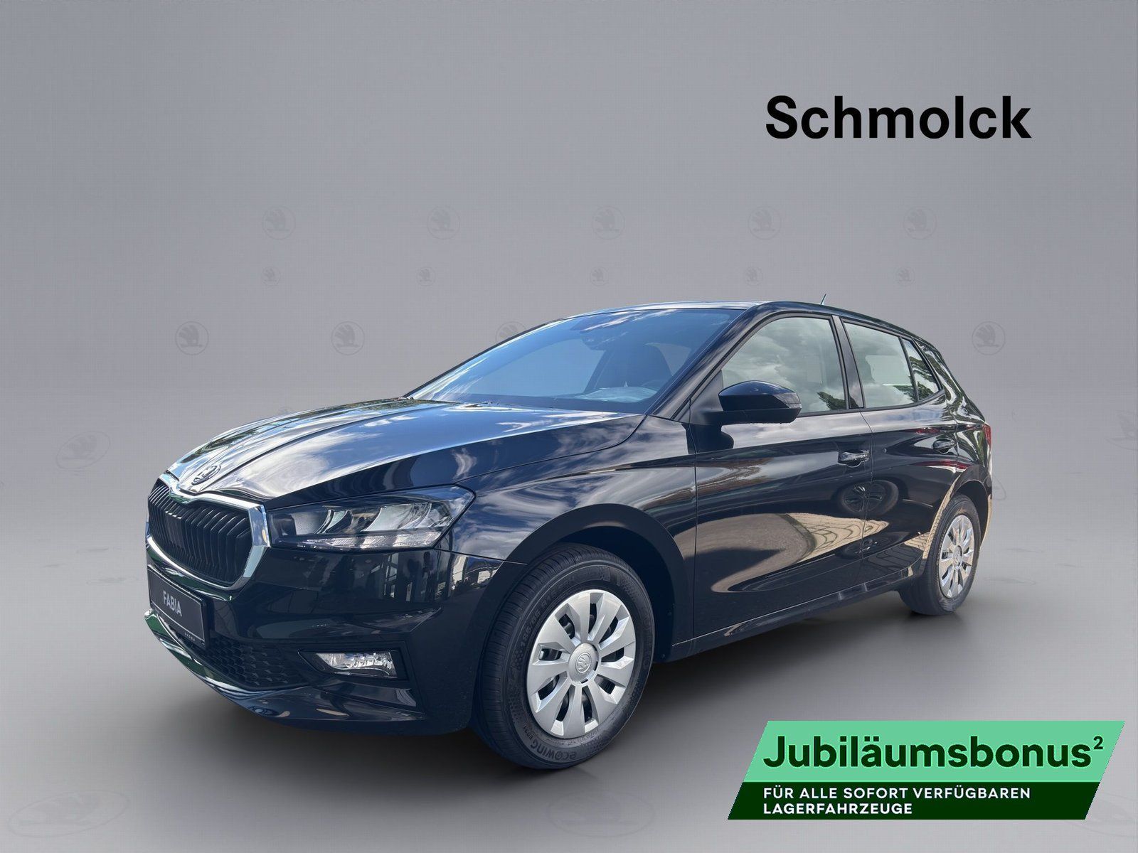 Skoda Fabia Essence 1.0 MPI DAB SHZ PDC KLIMA