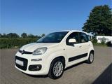 Fiat Top Gepflegter Fiat Panda nur 68.000km TÜV... - Fiat Panda Gebrauchtwagen in Hamburg