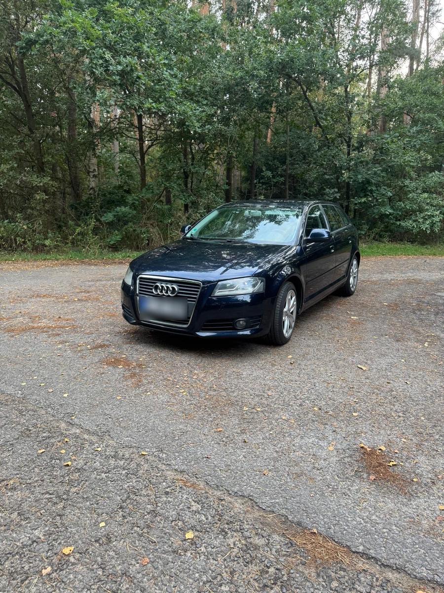 Audi A3 2009 — photo 14