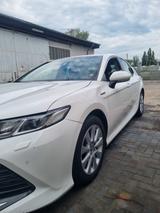 Toyota Camry 2,5-l-VVT-i Hybrid Business Edition Au... - Toyota Camry: 2.5