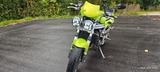 Triumph Speed Triple 955i - TRIUMPH SPEED TRIPLE 955I